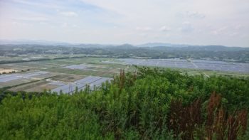 上からの風景